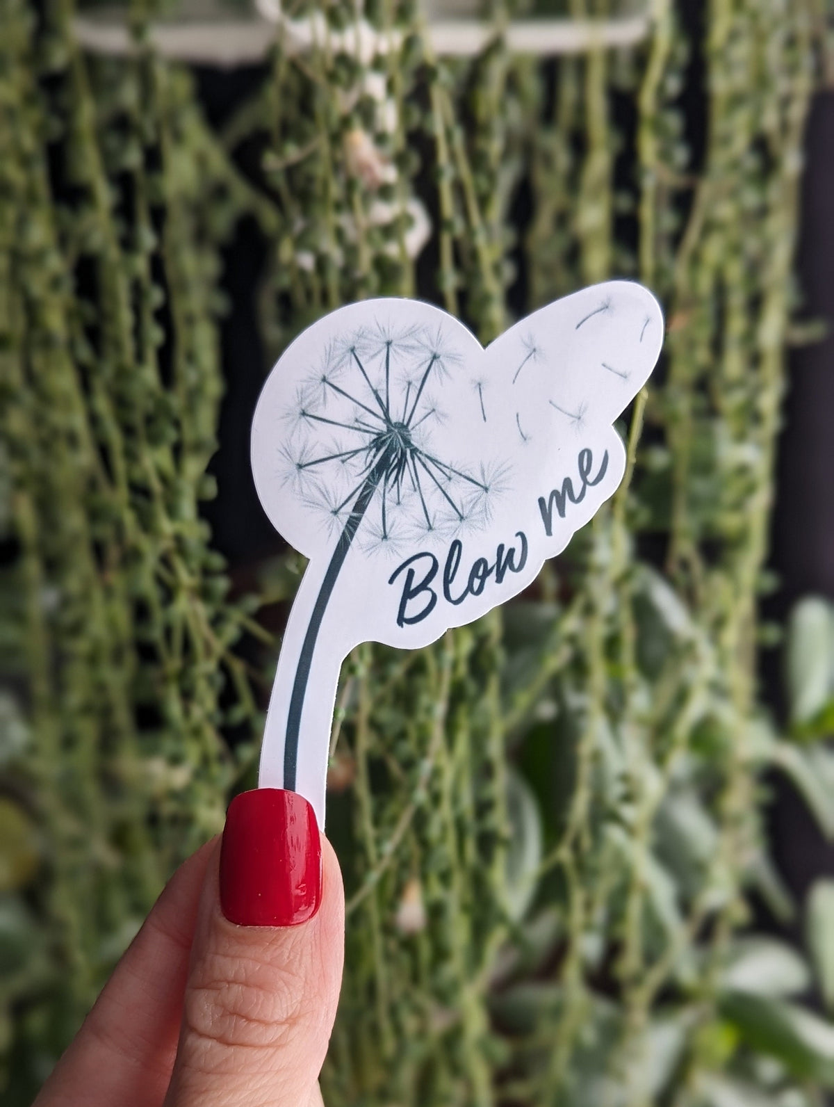 Blow me sticker, adult stickers for boyfriend, dirty sticker for hard hats, spicy stickers for hydroflask funny, fantasy gift for him, smut