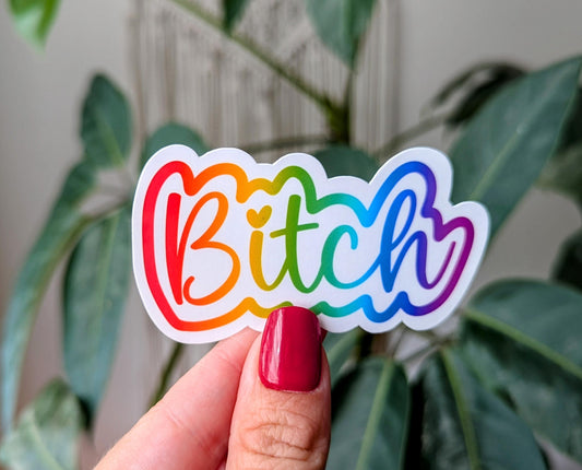 Bitch sticker, sassy stickers for water bottle, snarky gifts for sister, funny sticker for kindle, party gifts for women, sarcastic gift for