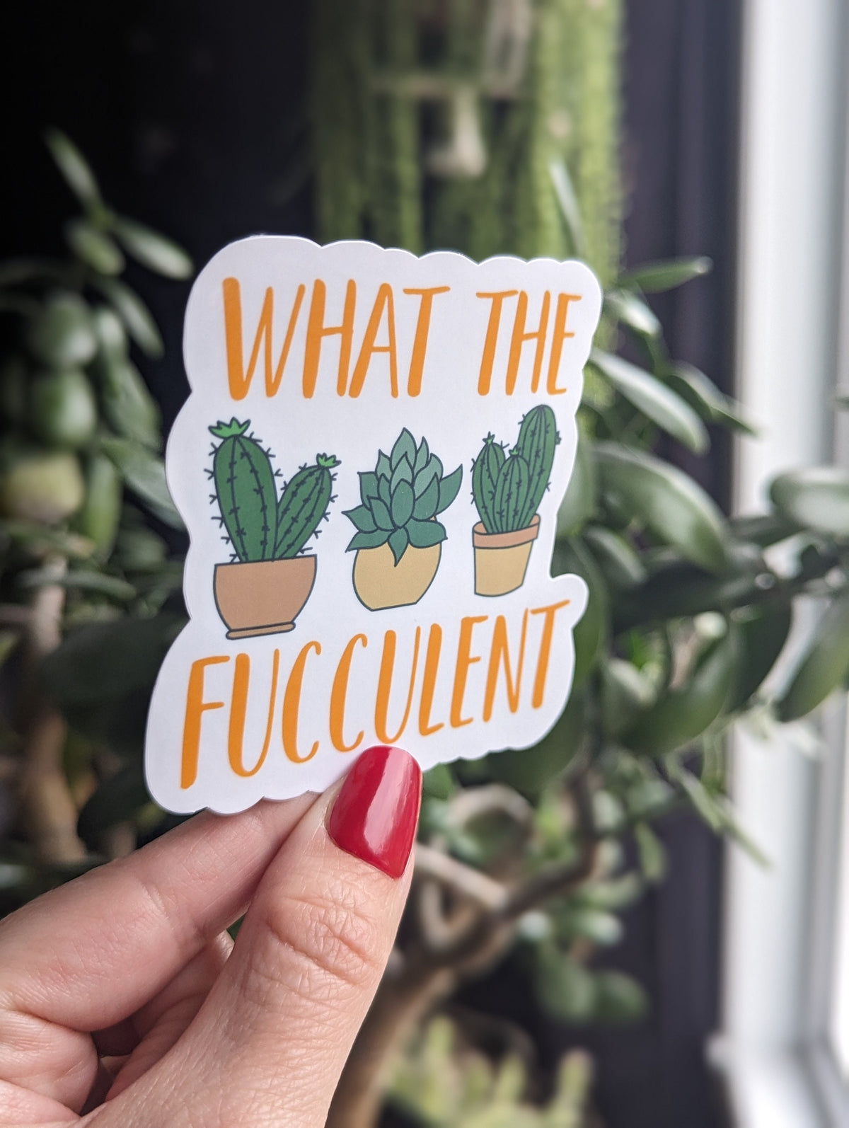 What the fucculent stickers for gardeners, plant lover sticker for hydroflask funny, succulent stickers for planner, plant gifts for grandma