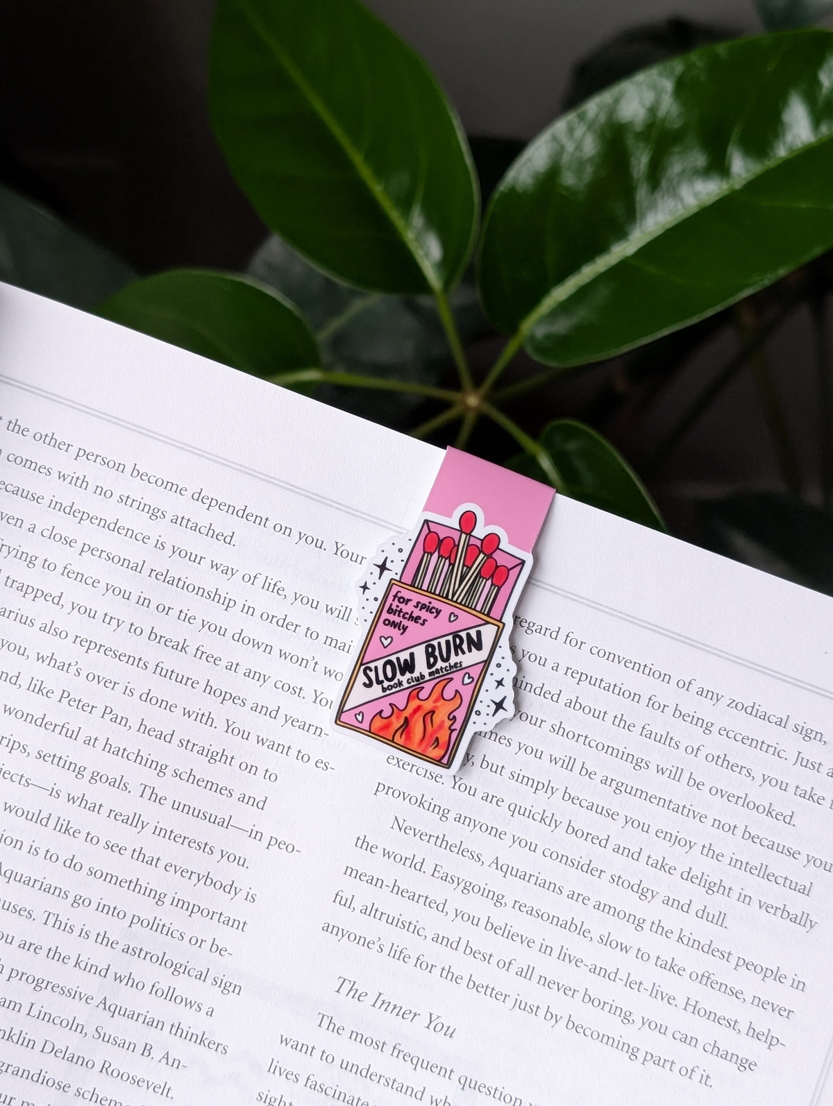 Slow Burn Magnetic Bookmark | Spicy Bookish Matchbook Design